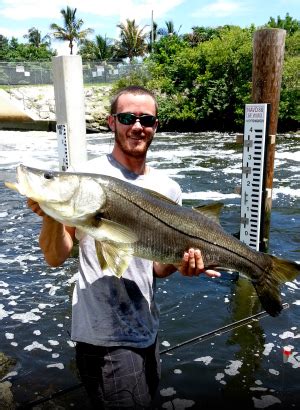 snook fishing florida|Targeting Snook on Florida's Big Bend .